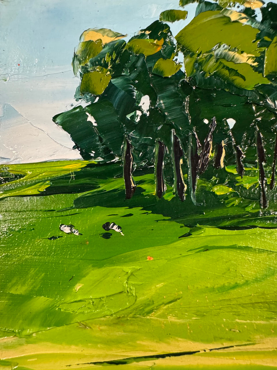 Ferguson Valley