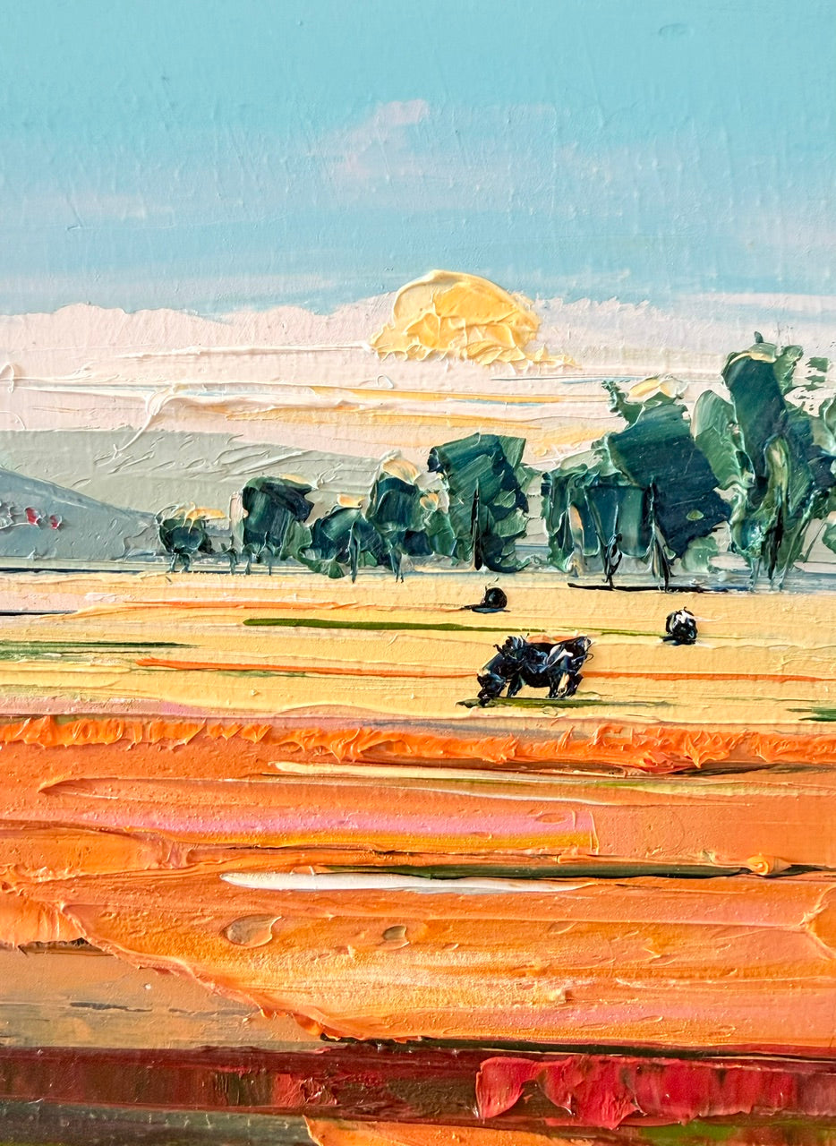 Farm landscape 66