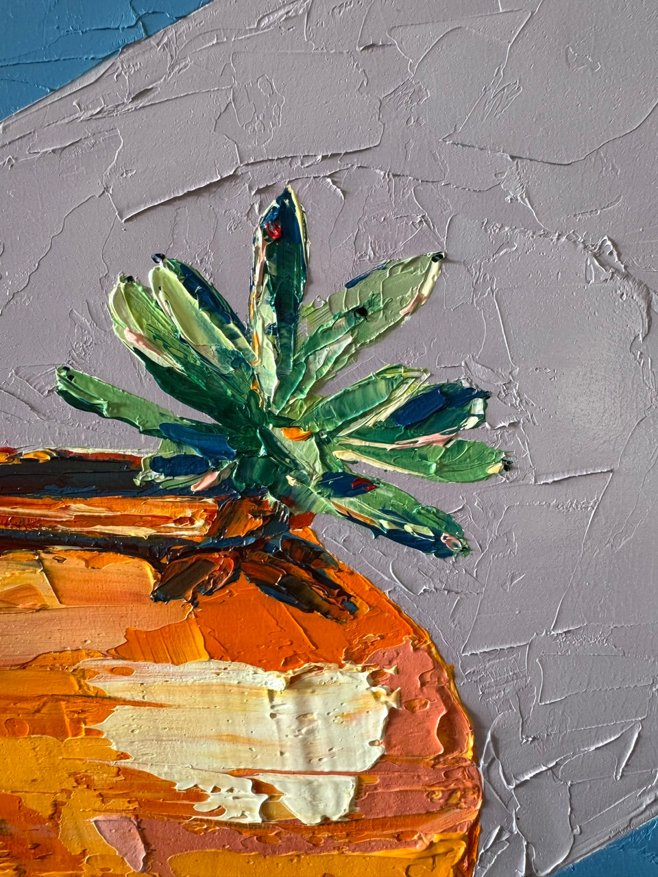 Succulent in Terracotta Pot
